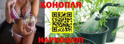 сатива Аргун