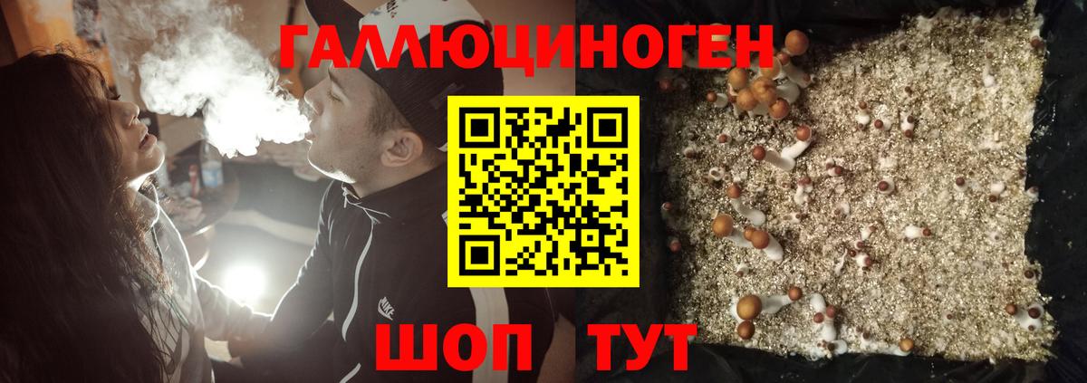 Галлюциногенные грибы MAGIC MUSHROOMS Боровичи