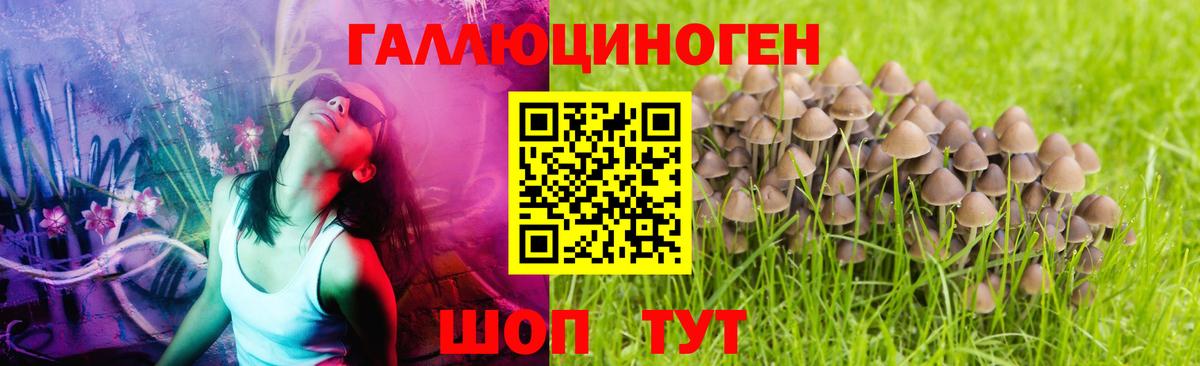 Псилоцибиновые грибы мицелий  Вход с VPN  где купить наркоту  Боровичи 